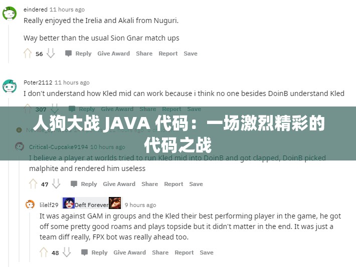 人狗大战 JAVA 代码：一场激烈精彩的代码之战