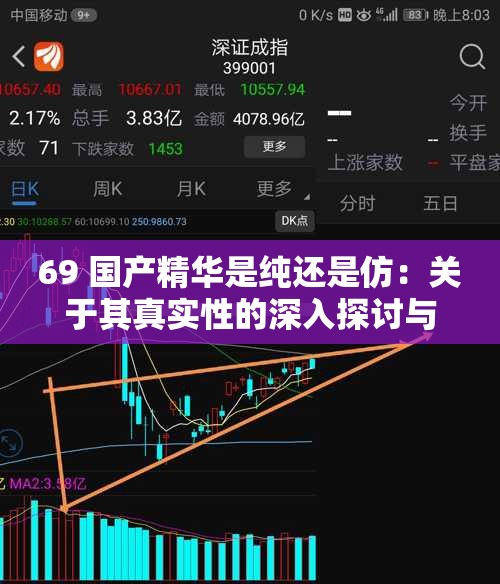 69 国产精华是纯还是仿：关于其真实性的深入探讨与分析