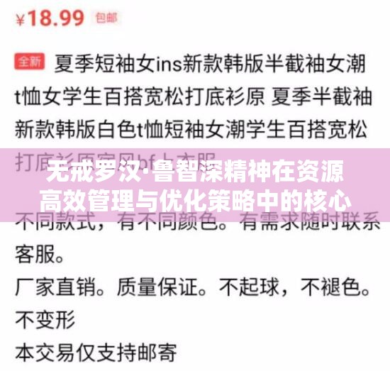 无戒罗汉·鲁智深精神在资源高效管理与优化策略中的核心作用解析