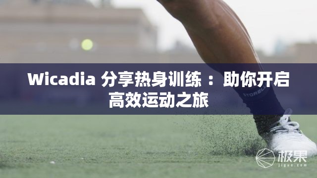 Wicadia 分享热身训练 ：助你开启高效运动之旅