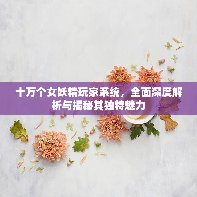 十万个女妖精玩家系统，全面深度解析与揭秘其独特魅力