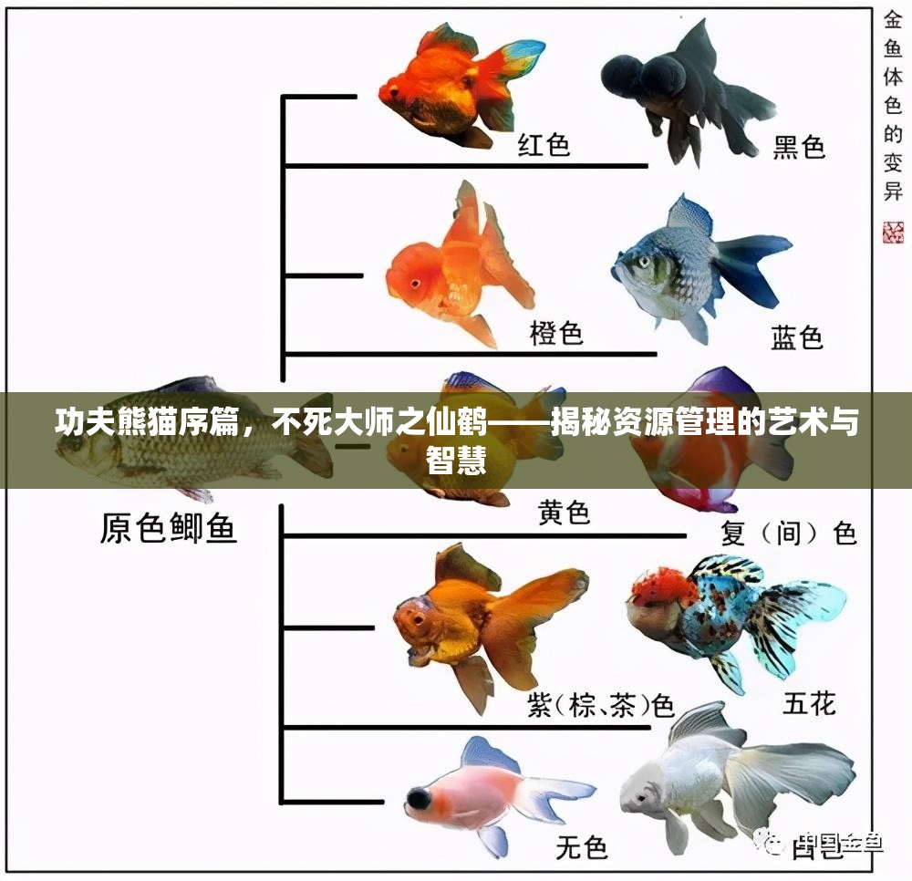 功夫熊猫序篇，不死大师之仙鹤——揭秘资源管理的艺术与智慧