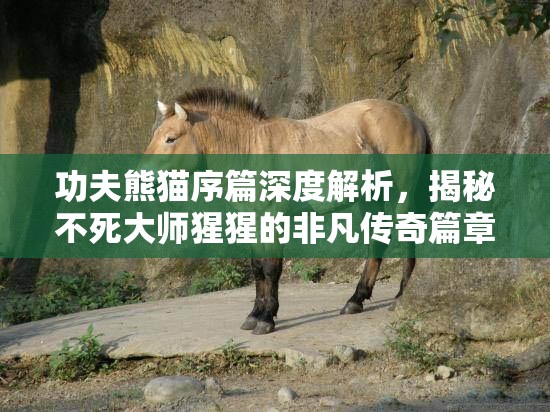 功夫熊猫序篇深度解析，揭秘不死大师猩猩的非凡传奇篇章