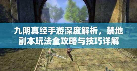 九阴真经手游深度解析，禁地副本玩法全攻略与技巧详解
