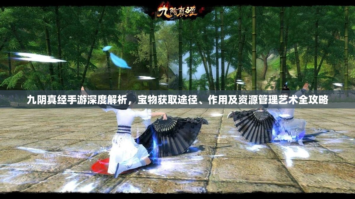 九阴真经手游深度解析，宝物获取途径、作用及资源管理艺术全攻略