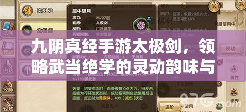 九阴真经手游太极剑，领略武当绝学的灵动韵味与持久战力