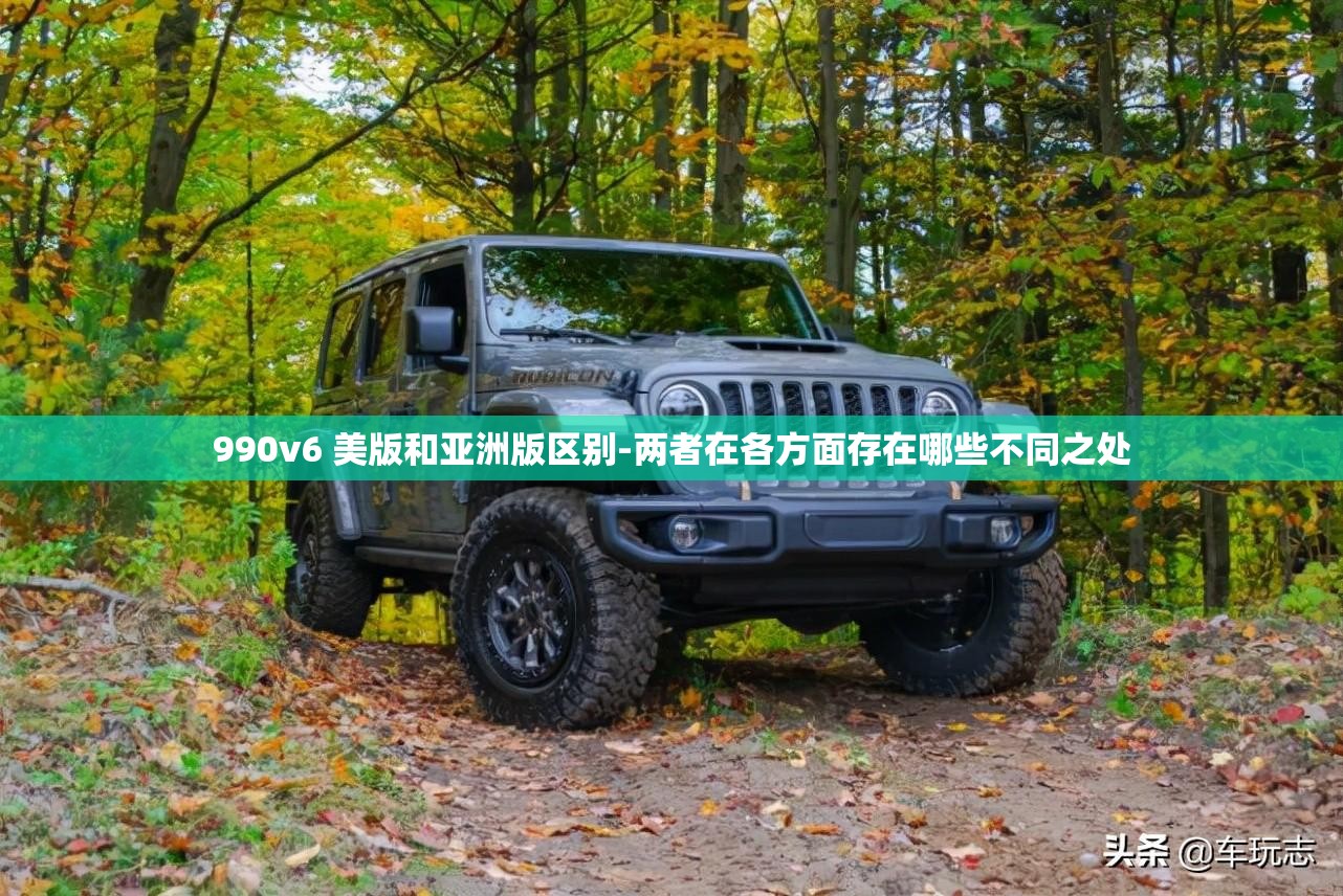 990v6 美版和亚洲版区别-两者在各方面存在哪些不同之处