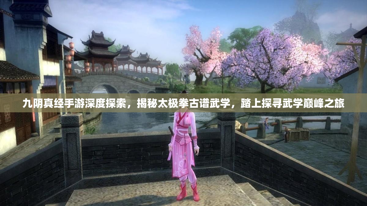 九阴真经手游深度探索，揭秘太极拳古谱武学，踏上探寻武学巅峰之旅