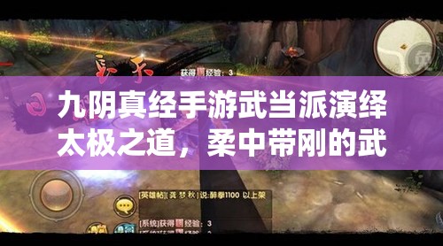 九阴真经手游武当派演绎太极之道，柔中带刚的武学传奇与精髓