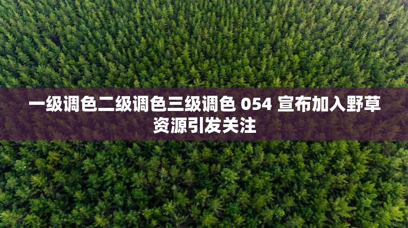 一级调色二级调色三级调色 054 宣布加入野草资源引发关注