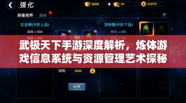 武极天下手游深度解析，炼体游戏信息系统与资源管理艺术探秘
