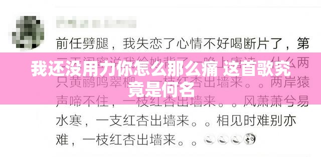 我还没用力你怎么那么痛 这首歌究竟是何名