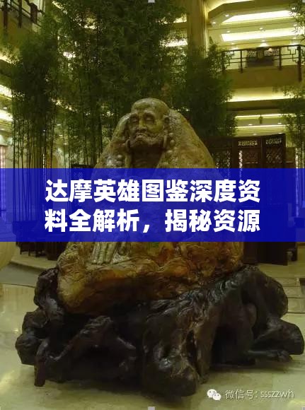 达摩英雄图鉴深度资料全解析，揭秘资源管理的精妙艺术与策略