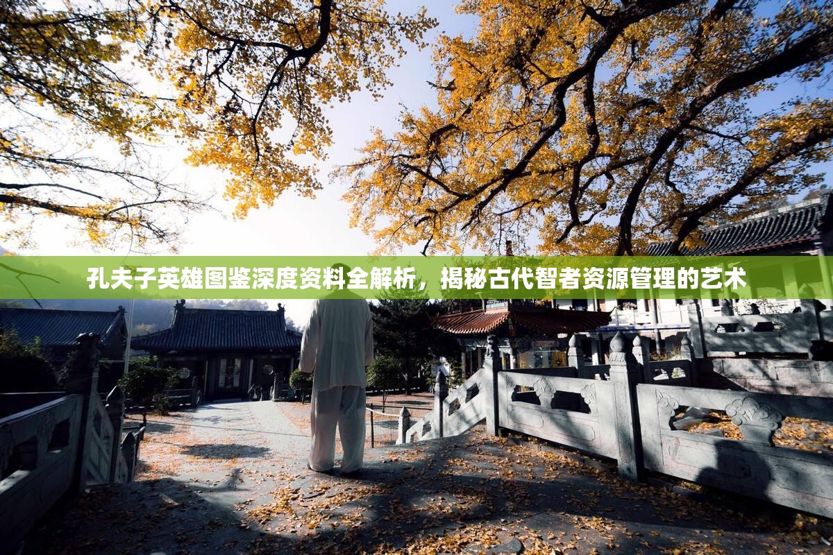 孔夫子英雄图鉴深度资料全解析，揭秘古代智者资源管理的艺术