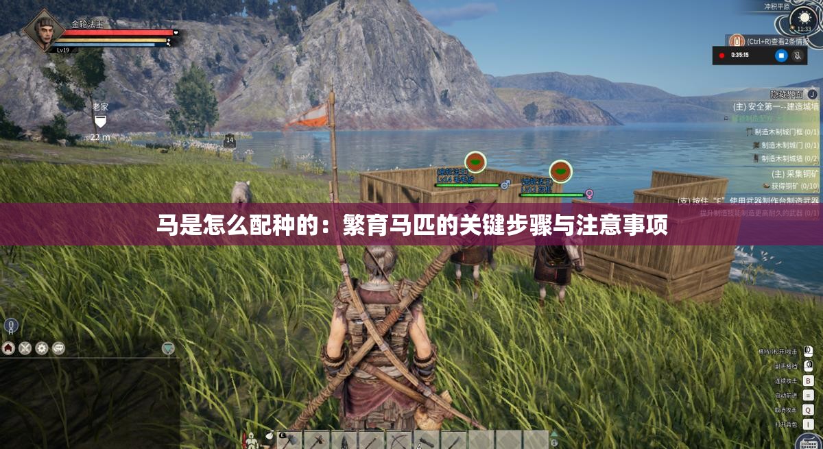 马是怎么配种的：繁育马匹的关键步骤与注意事项