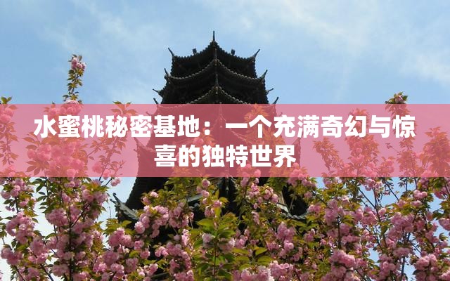 水蜜桃秘密基地：一个充满奇幻与惊喜的独特世界