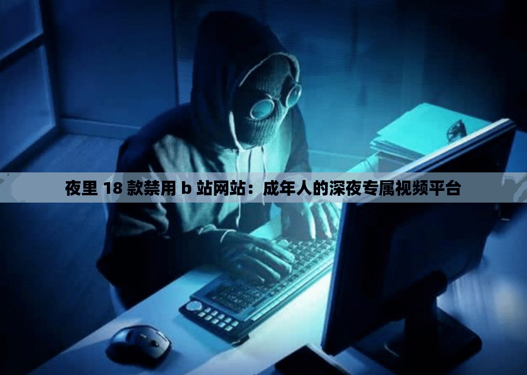 夜里 18 款禁用 b 站网站：成年人的深夜专属视频平台