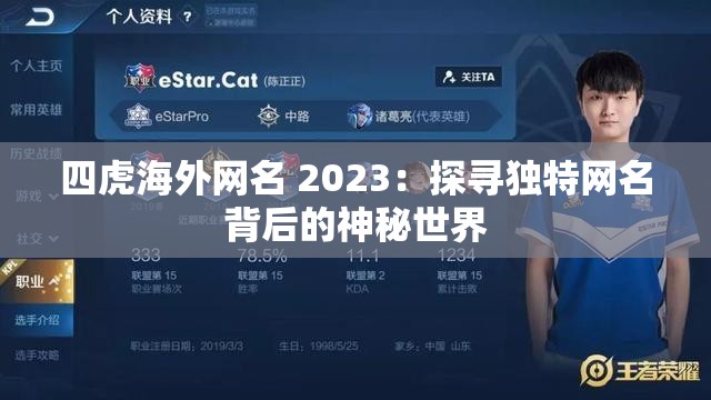 四虎海外网名 2023：探寻独特网名背后的神秘世界