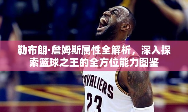勒布朗·詹姆斯属性全解析，深入探索篮球之王的全方位能力图鉴