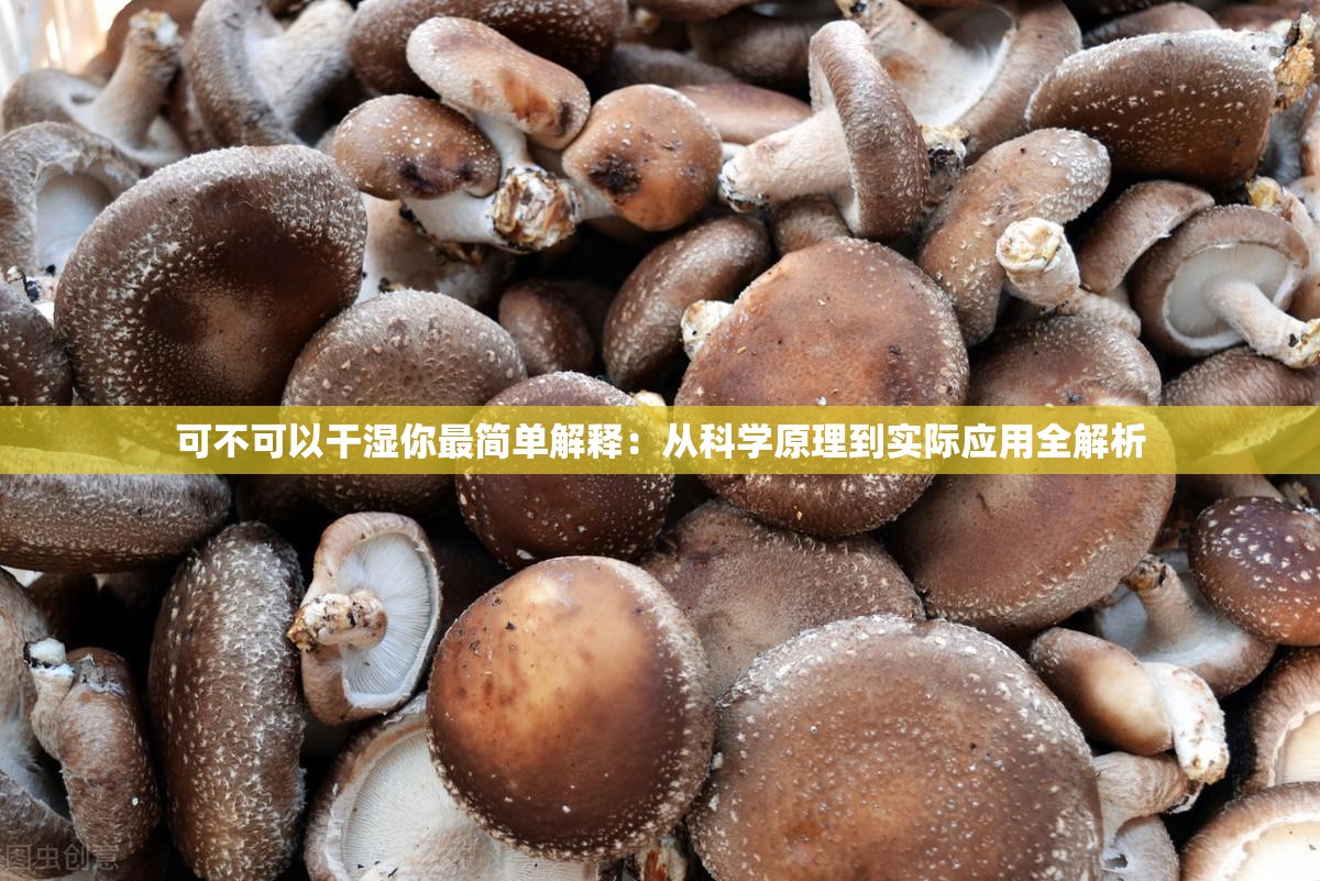 可不可以干湿你最简单解释：从科学原理到实际应用全解析