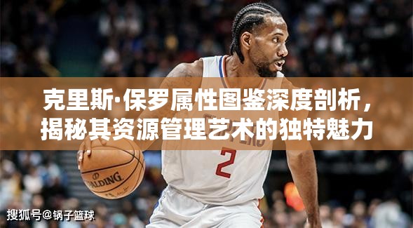 克里斯·保罗属性图鉴深度剖析，揭秘其资源管理艺术的独特魅力