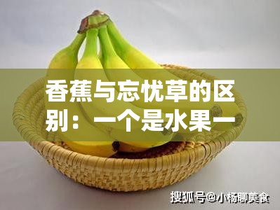 香蕉与忘忧草的区别：一个是水果一个是植物且功效大不同