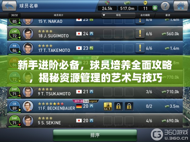 新手进阶必备，球员培养全面攻略，揭秘资源管理的艺术与技巧