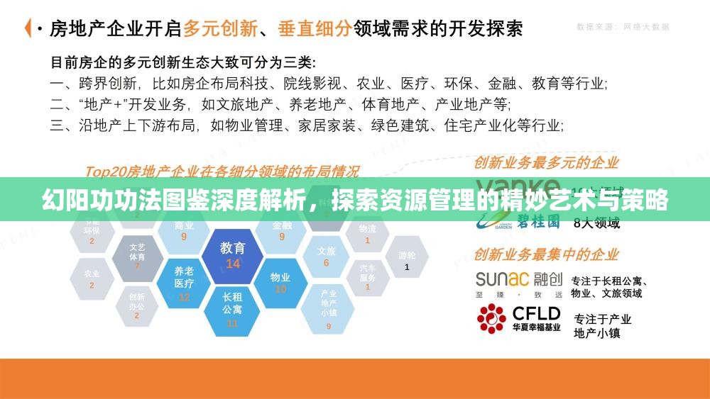 幻阳功功法图鉴深度解析，探索资源管理的精妙艺术与策略