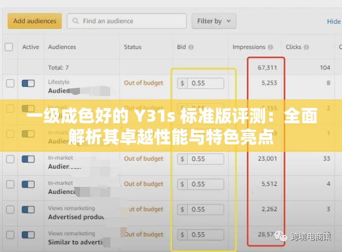 一级成色好的 Y31s 标准版评测：全面解析其卓越性能与特色亮点