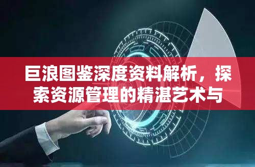 巨浪图鉴深度资料解析，探索资源管理的精湛艺术与高效策略