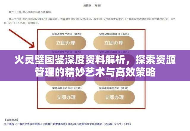 火灵壁图鉴深度资料解析，探索资源管理的精妙艺术与高效策略