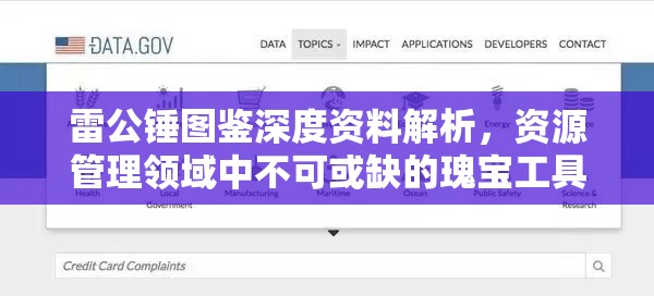雷公锤图鉴深度资料解析，资源管理领域中不可或缺的瑰宝工具