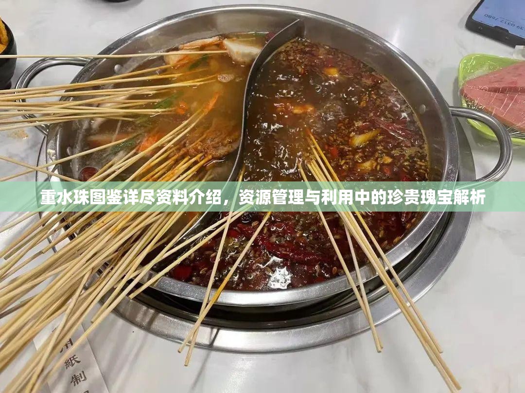 重水珠图鉴详尽资料介绍，资源管理与利用中的珍贵瑰宝解析