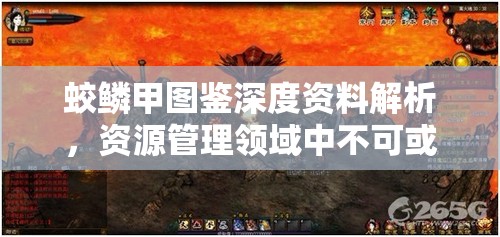 蛟鳞甲图鉴深度资料解析，资源管理领域中不可或缺的瑰宝