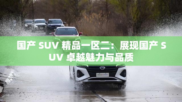 国产 SUV 精品一区二：展现国产 SUV 卓越魅力与品质