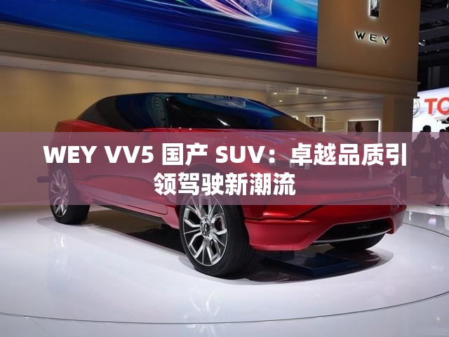 WEY VV5 国产 SUV：卓越品质引领驾驶新潮流