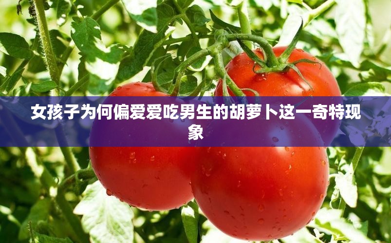 女孩子为何偏爱爱吃男生的胡萝卜这一奇特现象