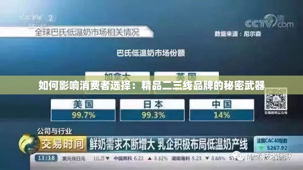 如何影响消费者选择：精品二三线品牌的秘密武器