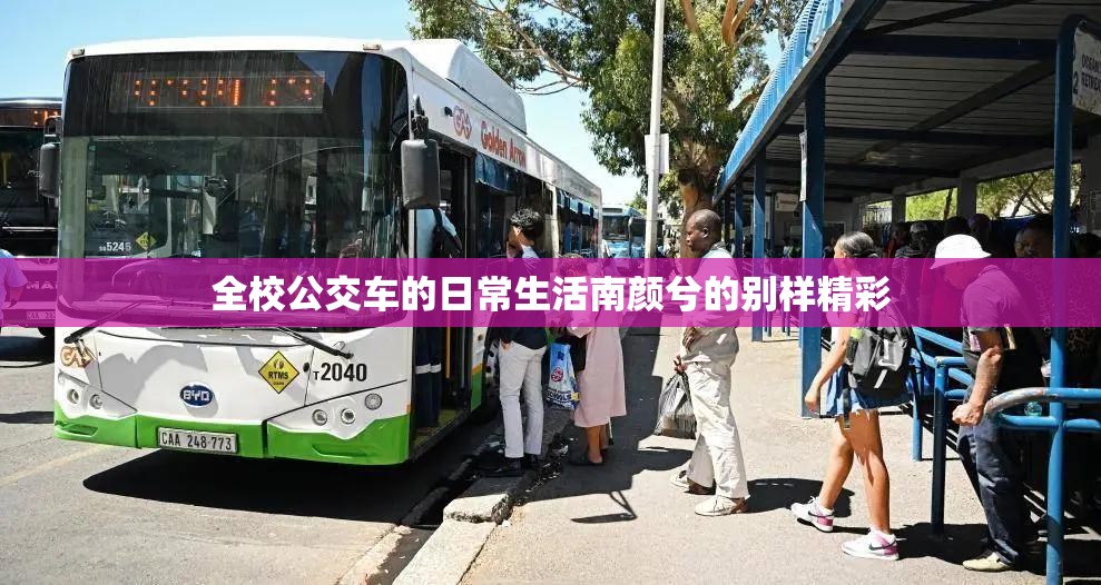 全校公交车的日常生活南颜兮的别样精彩