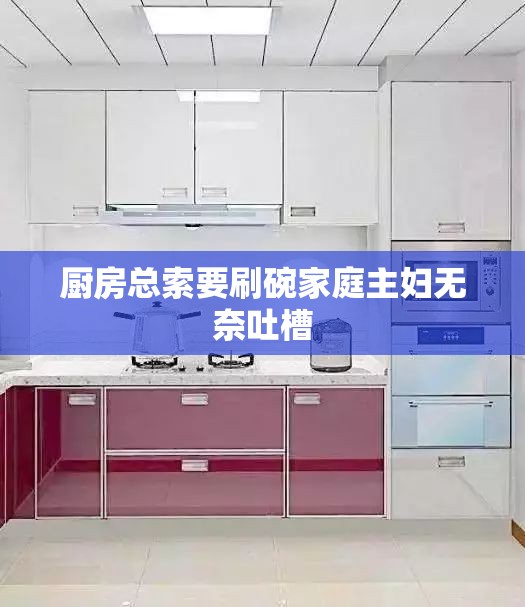 厨房总索要刷碗家庭主妇无奈吐槽