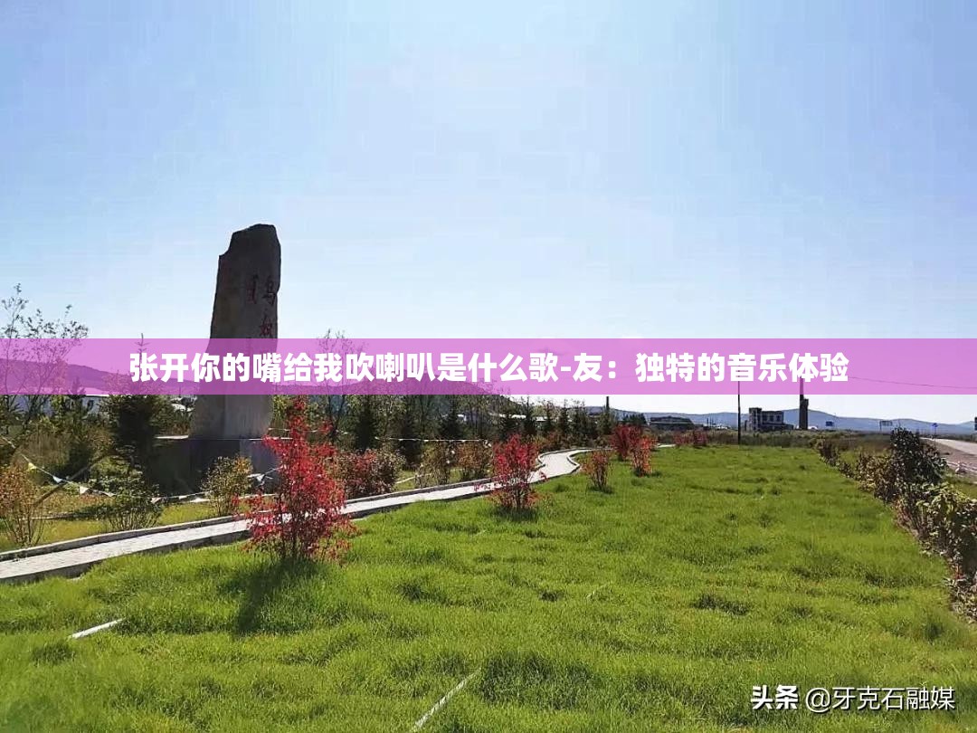 张开你的嘴给我吹喇叭是什么歌-友：独特的音乐体验