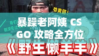 暴躁老阿姨 CSGO 攻略全方位指南