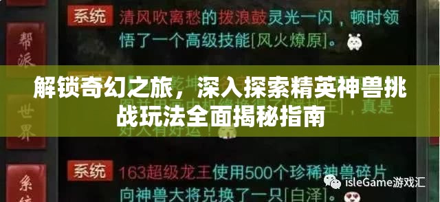 解锁奇幻之旅，深入探索精英神兽挑战玩法全面揭秘指南
