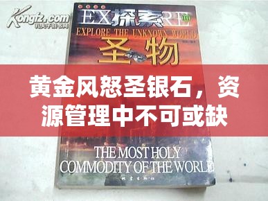 黄金风怒圣银石，资源管理中不可或缺的璀璨瑰宝与价值探索