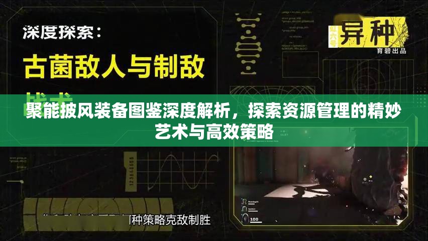 聚能披风装备图鉴深度解析，探索资源管理的精妙艺术与高效策略