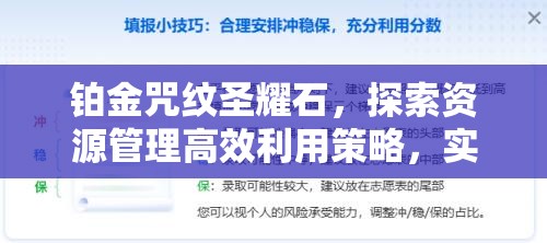铂金咒纹圣耀石，探索资源管理高效利用策略，实现价值最大化