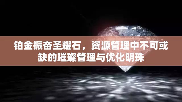 铂金振奋圣耀石，资源管理中不可或缺的璀璨管理与优化明珠