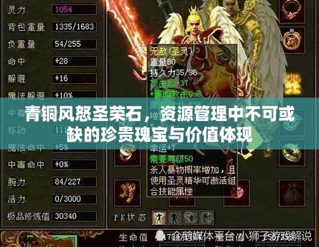 青铜风怒圣荣石，资源管理中不可或缺的珍贵瑰宝与价值体现