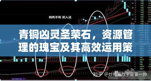青铜凶灵圣荣石，资源管理的瑰宝及其高效运用策略解析