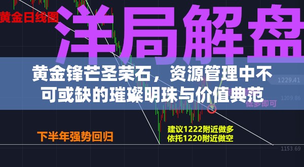 黄金锋芒圣荣石，资源管理中不可或缺的璀璨明珠与价值典范
